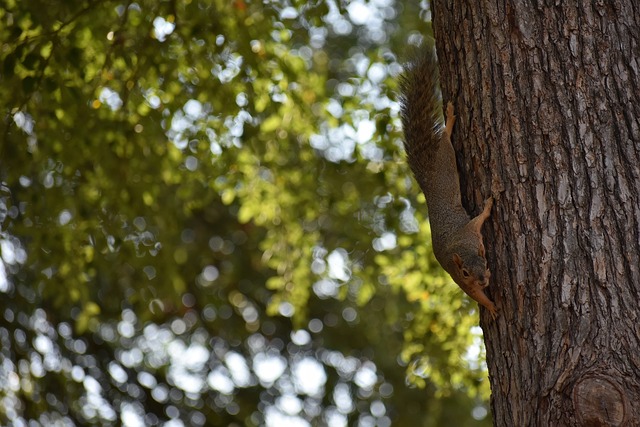 终登上荣耀 终登上荣耀