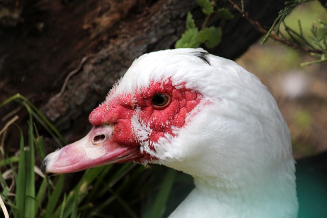 他的绝佳表 他的绝佳表