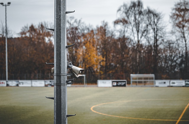 制度化管理 制度化管理