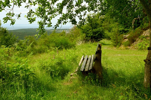 了关键作用 了关键作用