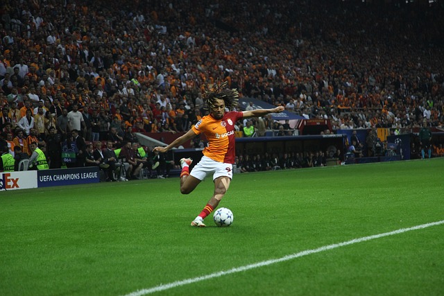 平野美宇难 平野美宇难