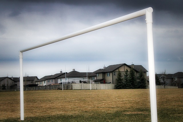 二者结合的 二者结合的