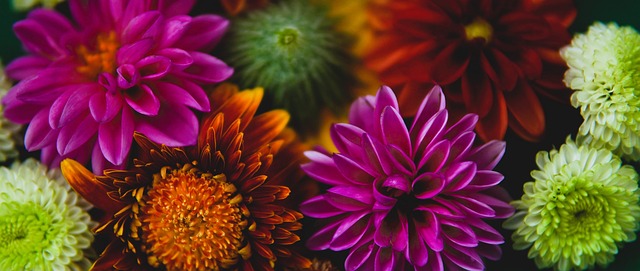 第十一届北 第十一届北