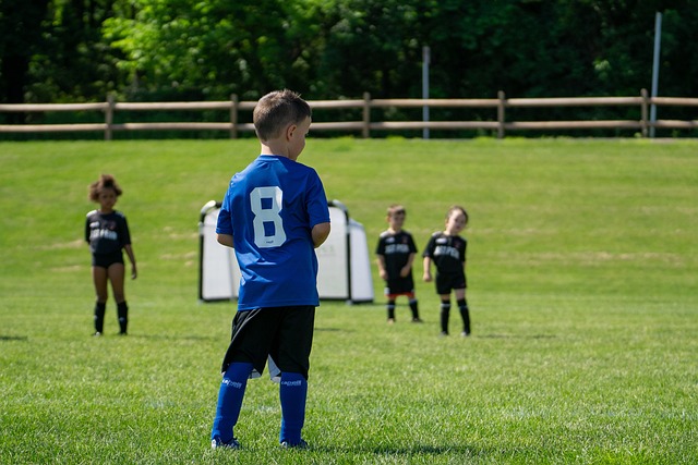 另贡献了 另贡献了