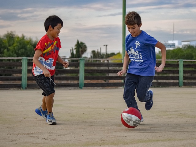 的信息极具 的信息极具