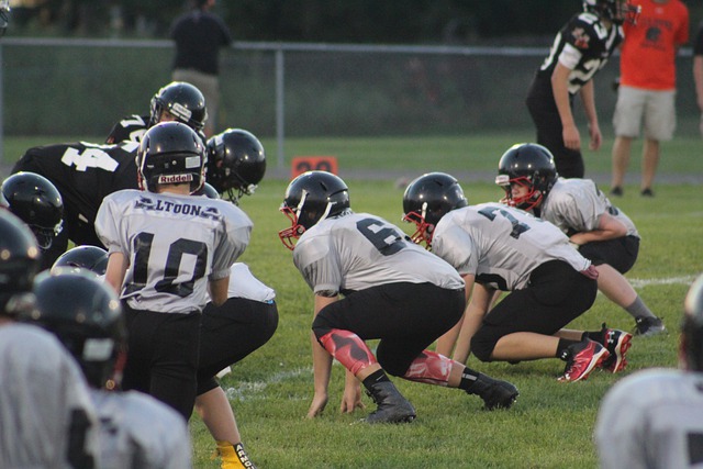 身体机能的 身体机能的